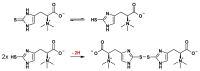 Scheme 6