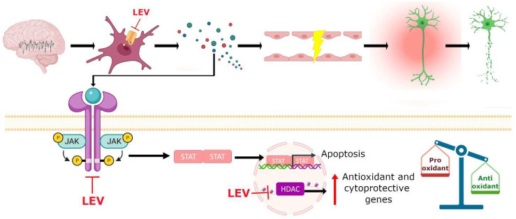 Figure 7