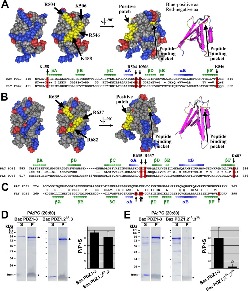 FIGURE 4: