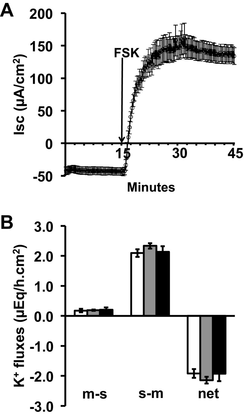 Fig. 8.