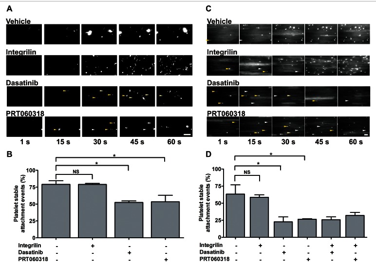 Figure 6: