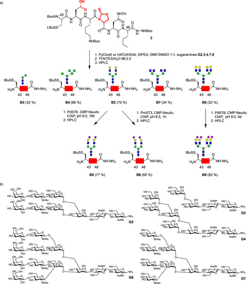 Scheme 2