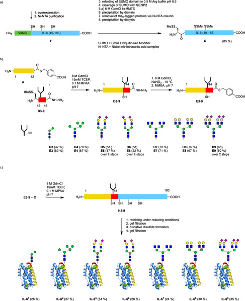 Scheme 3