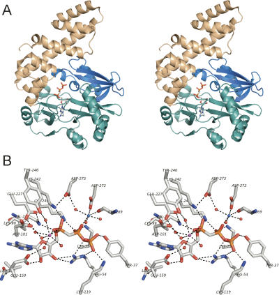 FIGURE 2.