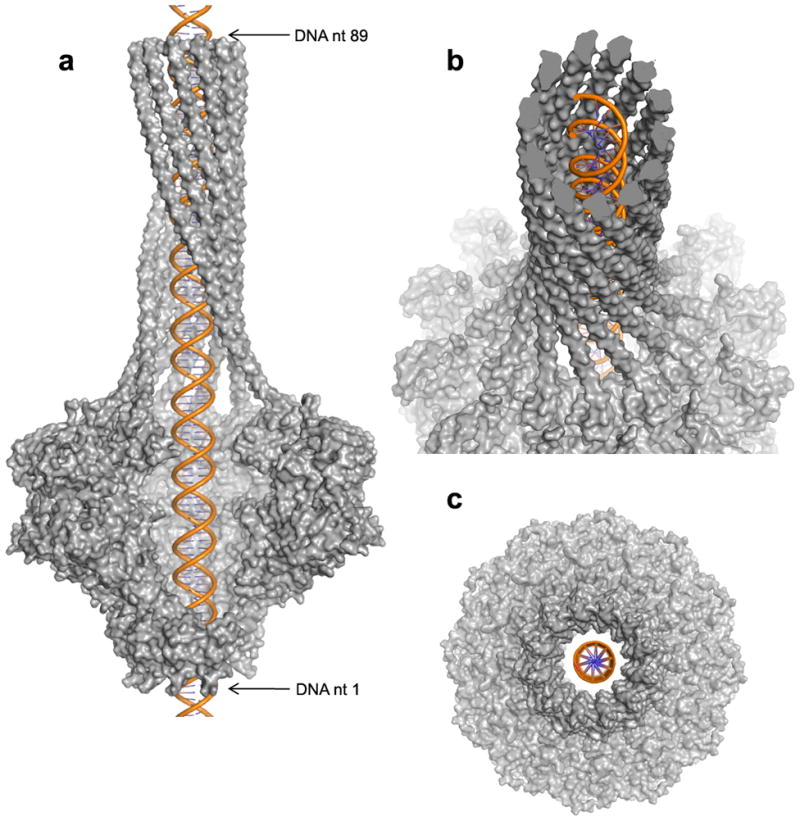 FIG. 6