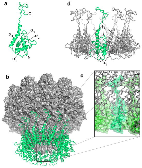 FIG. 4