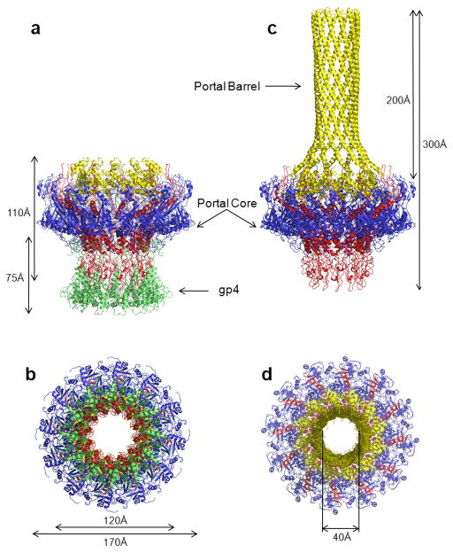 FIG. 1