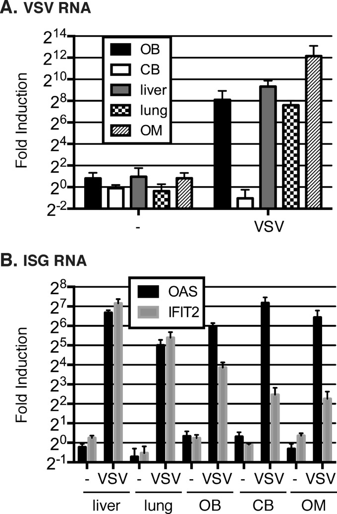 FIG 2