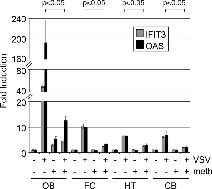 FIG 7