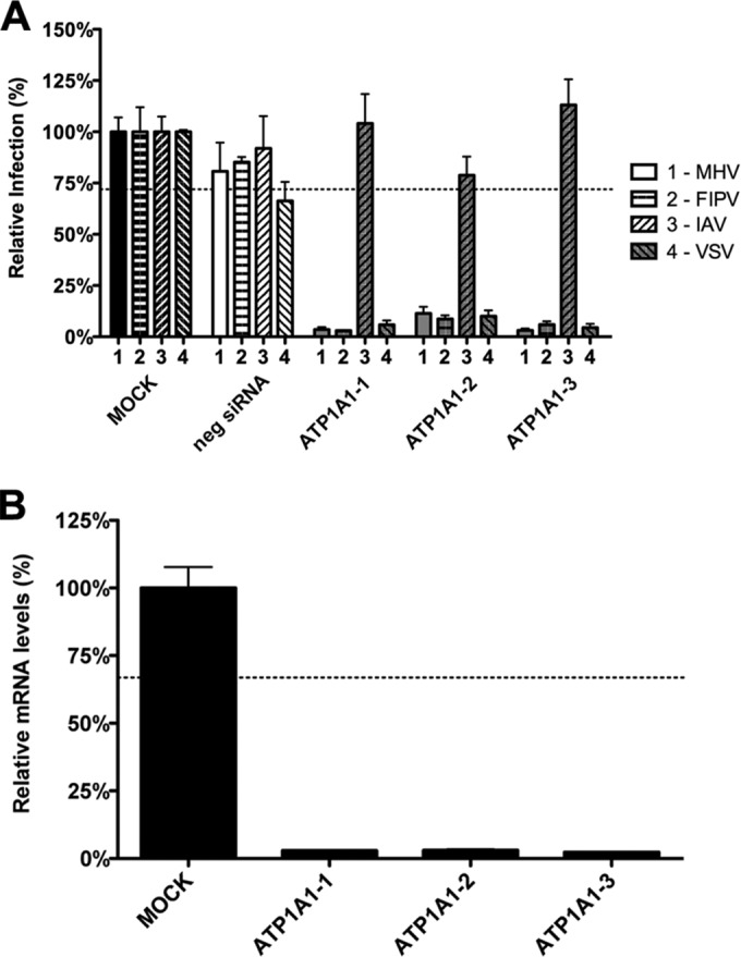 FIG 1