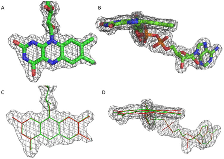 Figure 5