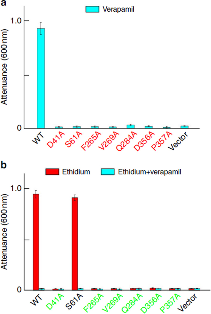 Figure 7