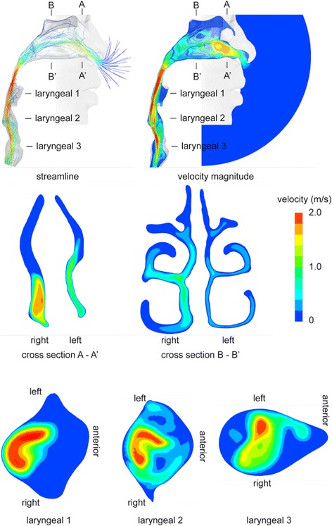 Fig. 8