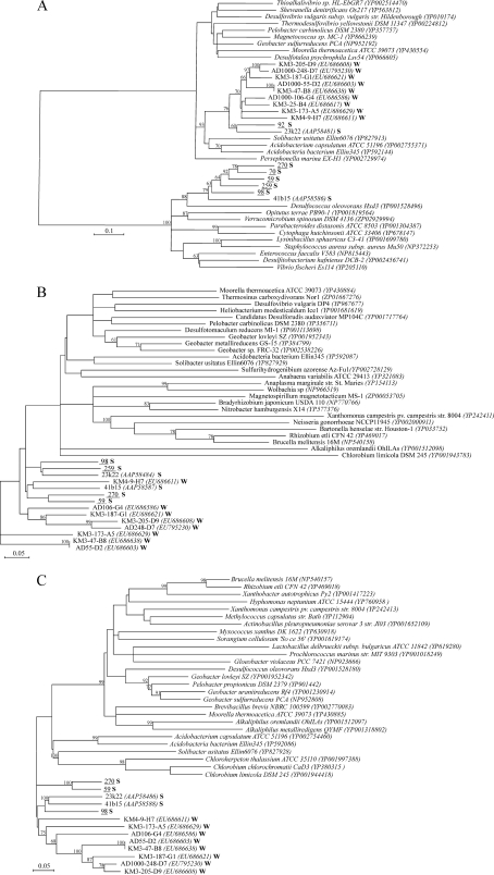 FIG. 5.