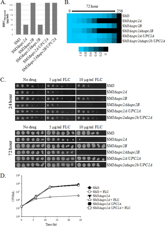 FIG 3