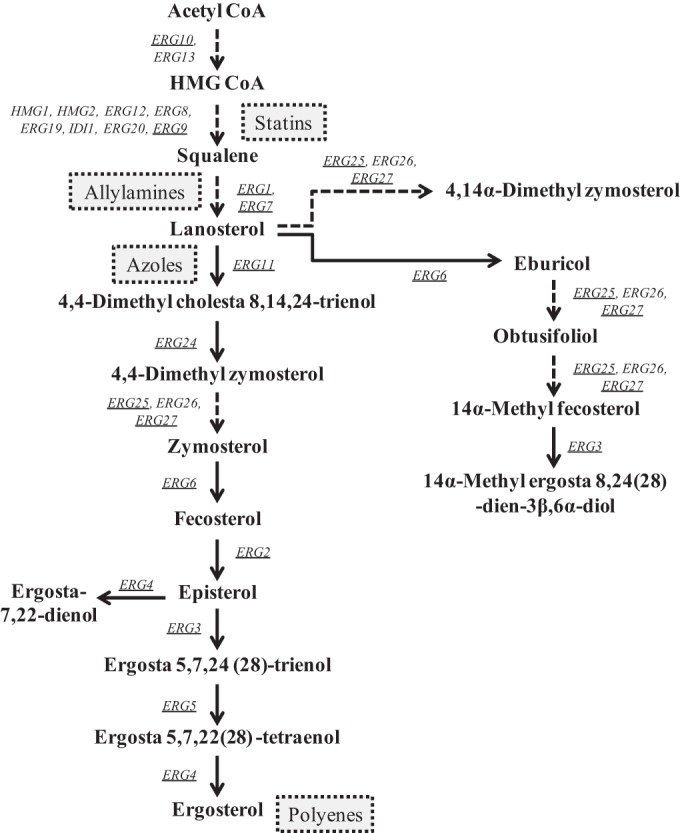 FIG 1