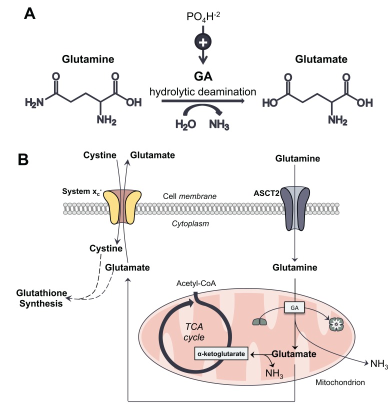 Fig. (1)