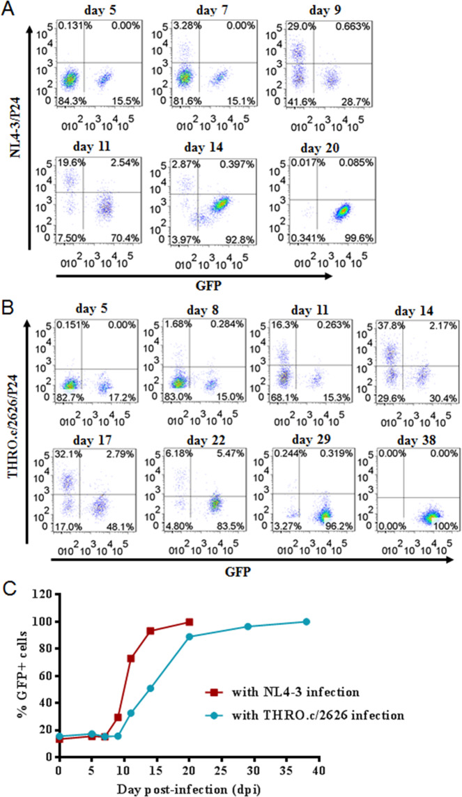 Fig. 6