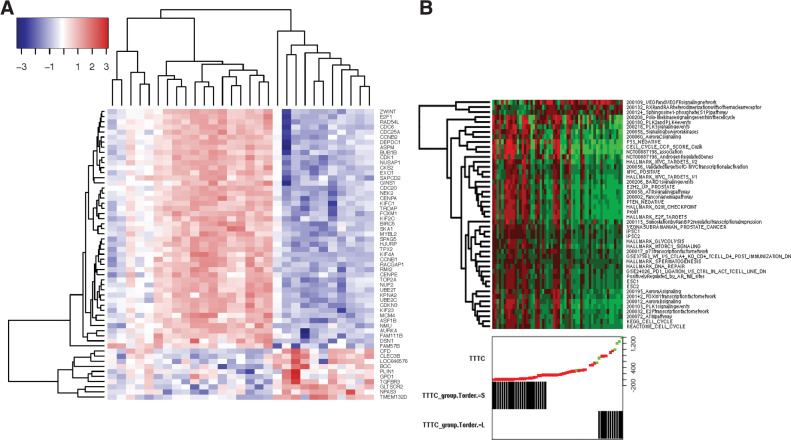 Figure 5. Gene expression activity. A, Heatmap of most differentially expressed genes from Supplementary Results. B, A heatmap of the most significant gene sets at V2, with samples (columns) ordered by TTTC. Red indicates elevated signature and green indicates low levels of the signature.