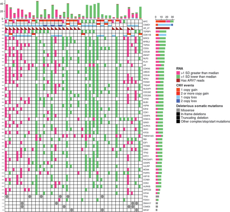 Figure 7. RNA-seq, CNV, and somatic mutations at V2 of significant genes related to cell-cycle progression, the aurora kinase pathway (including EZH2 and MYC) together with AR expression and AR V7 isoform presence (triangle). Samples ordered by TTTC (low to high TTTC from left to right).