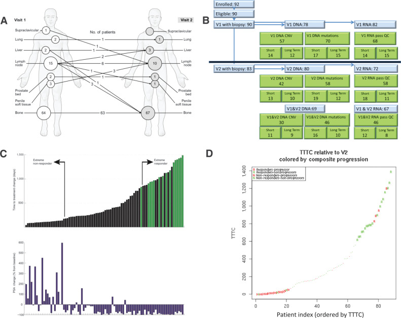 Figure 1. Basic information of the study. A, Biopsy sites pre- and posttreatment. B, Consort flow diagram and samples passing QC per data type (C) PSA change versus TTTC (or last-follow-up—green bar). Nonresponders (low TTTC) and responders (high TTTC) show positive and negative PSA changes respectively (D) V2 TTTC versus composite progression criteria at 12 weeks from V1 manuscript.
