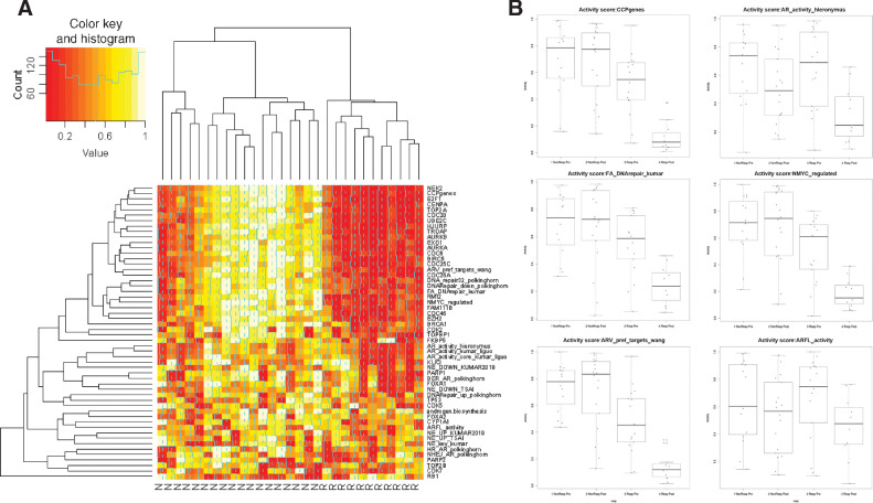 Figure 6. A, Heatmap of gene expression activity signatures and driver/key genes. B, Top activity signatures in gene expression activity heatmap.