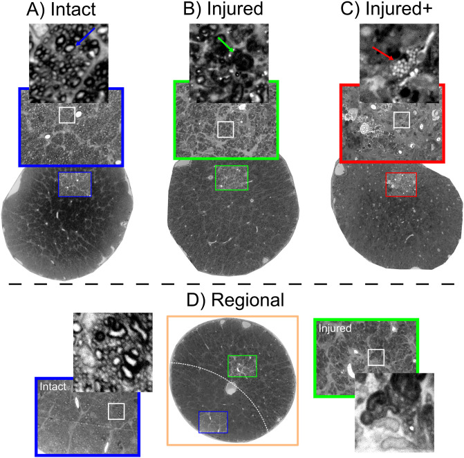 Fig 6