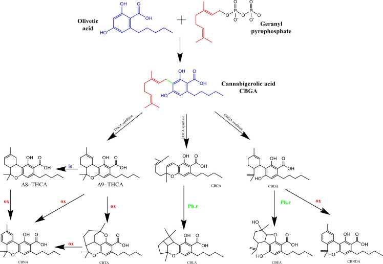 Fig. 2