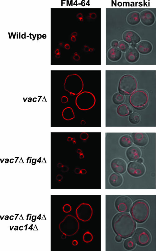 Figure 10.