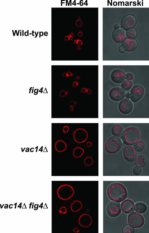 Figure 9.