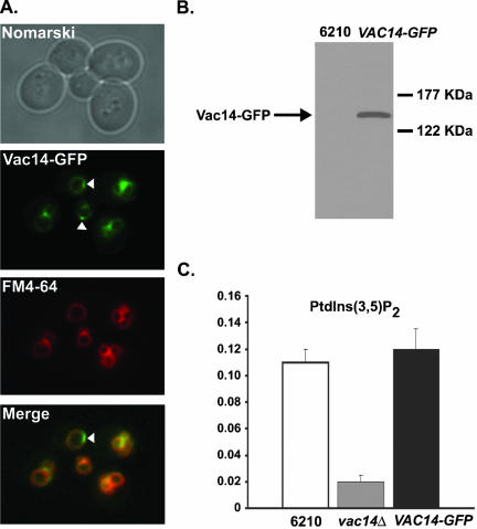 Figure 4.