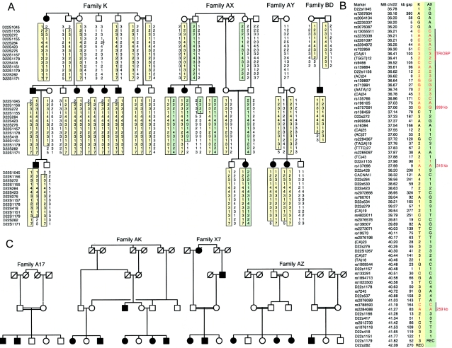 Figure  1