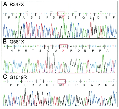 Figure  3