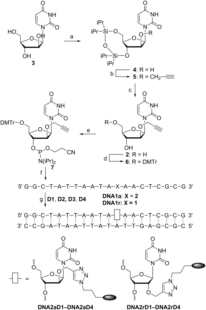 Scheme 2