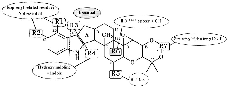 Figure 6