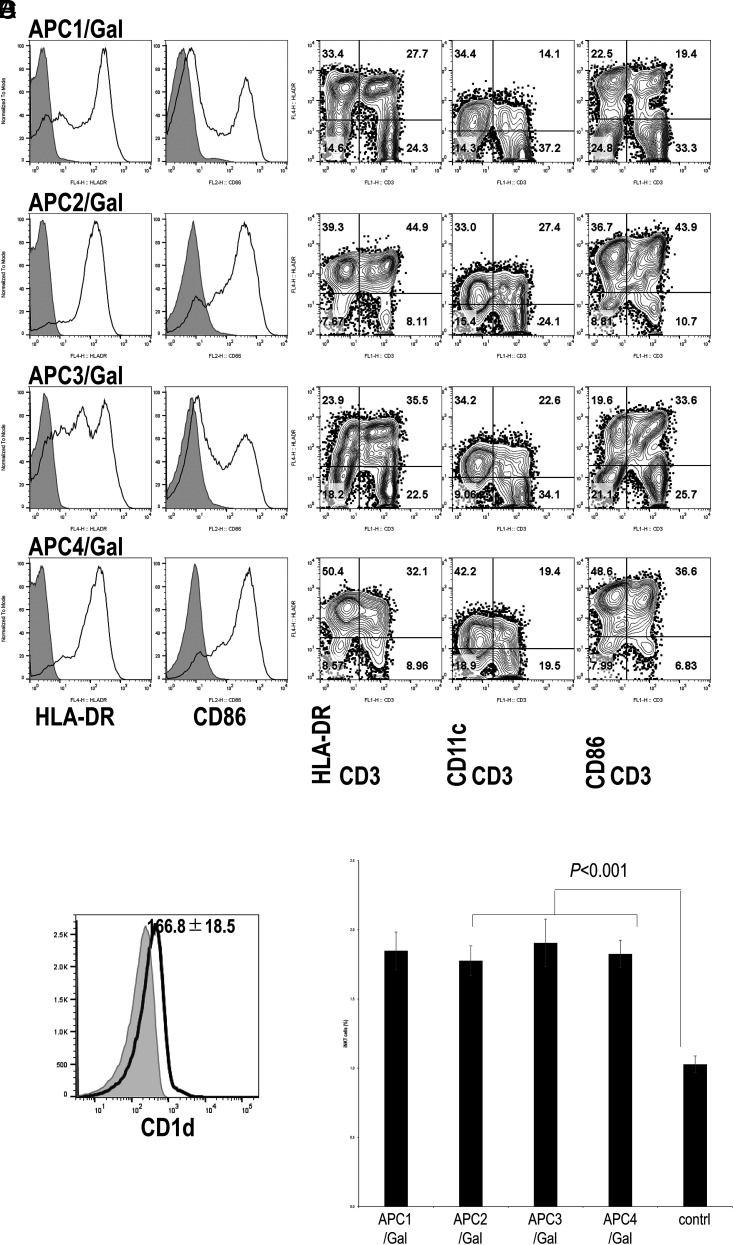 FIGURE 2. Flow cytometry analysis and functional analysis of APC/Gal. (A) The expression levels of HLA-DR and CD86 on APC/Gal (APC1, APC2, APC3, and APC4) at the time of administration were assessed by flow cytometry analysis. Gray-filled histogram indicates background staining with an isotype control. Representative data of APC/Gal (numbers 1–4 for case 038) are shown. (B) Representative flow cytometry profiles of the expression of HLA-DR, CD11c, and CD86 on CD3+ and CD3− cells in APC/Gal. The percentage of cells detected is represented in each quadrant. (C) CD1d expression in APC/Gal. Histograms results show CD1d expression for 006 DC1. Data are expressed as the mean ± SEM of APC/Gal for eight APC/Gal samples from seven patients. (D) Evaluation of iNKT ligand–presenting capacity of APC/Gal. APC/Gal from each patient was injected into C57BL/6 mice. The frequency of murine iNKT cells in the spleen was analyzed 4 d later. Data are expressed as the mean ± SEM of the NKT cell response to APC/Gal of all patients. The control was naive mice. Difference was estimated using the ANOVA Tukey–Kramer method.