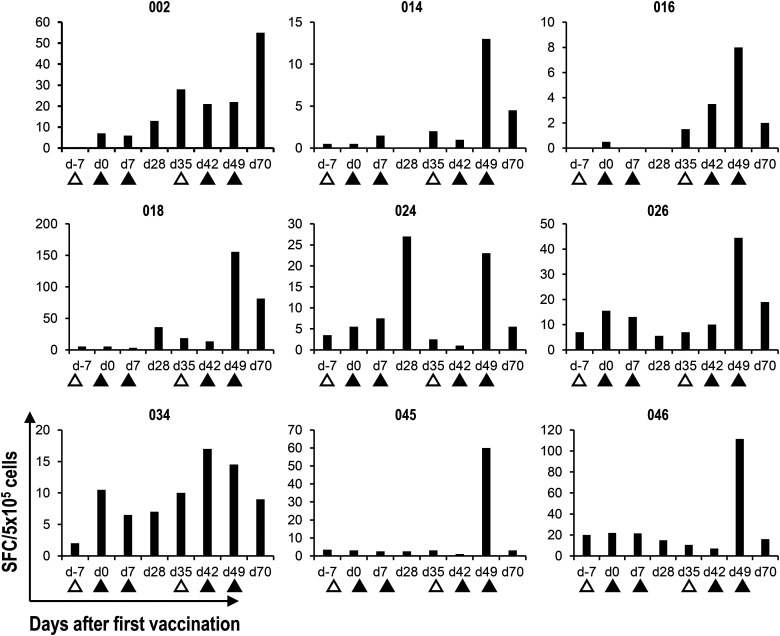 FIGURE 4. Detection of α-GalCer–reactive IFN-γ–producing cells by the ELISPOT assay. Cryopreserved PBMCs were thawed and cultured for 16 h in the presence of α-GalCer. IFN-γ–producing cells were analyzed by an IFN-γ ELISPOT assay. The mean IFN-γ spot-forming cell (SFC) number for duplicate cultures in nine representative cases is shown. Apheresis (△) and APC/Gal (▲) are shown.