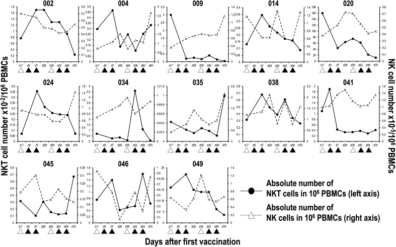 FIGURE 3. Number of circulating iNKT and NK cells during the course of APC/Gal treatment. The percentages of peripheral blood Vα24+Vβ11+ iNKT cells and CD56+CD3− NK cells during the course of the trial were monitored by flow cytometry analysis. The absolute number of iNKT and NK cells in 1 million PBMCs was calculated. Six cases whose iNKT cell number expanded after APC/Gal injection are shown. Apheresis (△) and APC/Gal (▲) are shown.