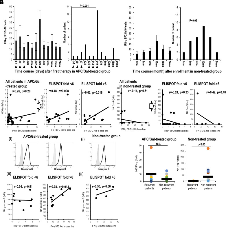 FIGURE 5. Relationship between α-GalCer–reactive IFN-γ production and NK cell activation. (A–D) Results of APC/Gal-treated (A and B) and nontreated groups (C and D) are shown. (A) Apheresis (△) and APC/Gal (▲) are shown. (A, left and C, left) Time points of the maximum score of IFN-γ SFCs in patients treated with or without APC/Gal therapy. (A, right and C, right) The number of patients with the maximum IFN-γ SFC score is shown. Difference was estimated using a χ2 test. (B) Analysis of correlation between fold of IFN-γ SFCs (x-axis) and fold of granzyme B expression of NK cells (by qPCR) (y-axis) after third APC/Gal administration (day 49). The patients were divided into two groups (day 49/prestatus SFCs) using the threshold of a 6-fold increase in scores (&lt;6-fold, &gt;6-fold)). (D) Same as (B), but analysis of correlation between IFN-γ SFCs (x-axis) and granzyme B expression of NK cells (y-axis) after enrollment (12 mo). The patients were divided into two groups (12 mo/prestatus SFCs) using the threshold of a 6-fold increase in scores (&lt;6-fold, &gt;6-fold). (E and F) Granzyme B expression of NK cells was assessed at the protein level using flow cytometric analysis. Solid lines in the histograms indicate granzyme B, and gray indicates the isotype. (Ei) Granzyme B expression of NK cells in the treated group detected using flow cytometric analysis. (Eii) Correlation between the amount of granzyme B protein and IFN-γ ELISPOT at day 49 in the treated group. (Fi) Granzyme B expression of NK cells in the nontreated group detected using flow cytometric analysis. (Fii) Correlation between granzyme B protein level and IFN-γ ELISPOT for patients with ELISPOT &gt;6 at 12 mo in the nontreated group (n = 4). Statistical analyses were performed using StatMate software, and correlation coefficients were determined by Pearson’s correlation tests. (G) IFN-γ expression of NK cells was assessed using real-time PCR analysis. IFN-γ expression of NK cells (12 mo/prestatus) in APC/Gal-treated and nontreated groups was evaluated in recurrent or nonrecurrent patients. Differences were analyzed using a two-tailed Pearson’s test of correlation, χ2 and Fisher’s exact tests, or the ANOVA Tukey–Kramer method. The significance threshold was set at a two-sided α value of 0.05. Statistical analyses were performed using StatMate (version 5.01).