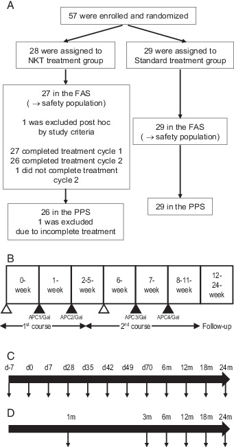 FIGURE 1. Design of an open-label study randomized trial using α-GalCer–pulsed APCs. (A) Postoperative patients with NSCLC separated into two groups (APC/Gal therapy or nonimmunotherapy) in this open-label randomized trial. (B) Study design of α-GalCer–pulsed APC (APC/Gal) administration. The timing of apheresis (△) and APC/Gal (▲) administration is shown. The first administration was defined as day 0. The patients received two courses and two injections of APC/Gal per course. (C and D) Schemes of the PBMC sampling points (↓) of the APC/Gal therapy group (C) or nonimmunotherapy group (D).