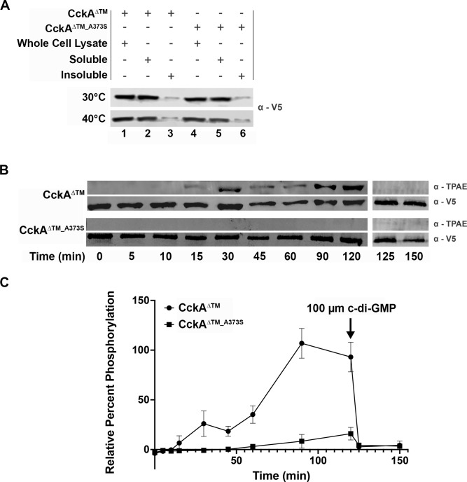 Fig 11