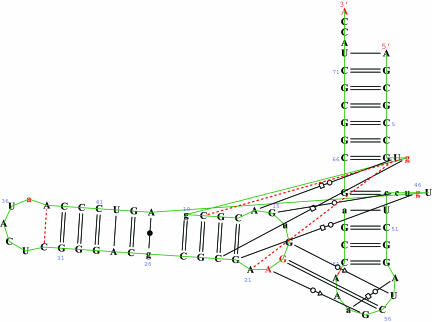 Fig. 5.