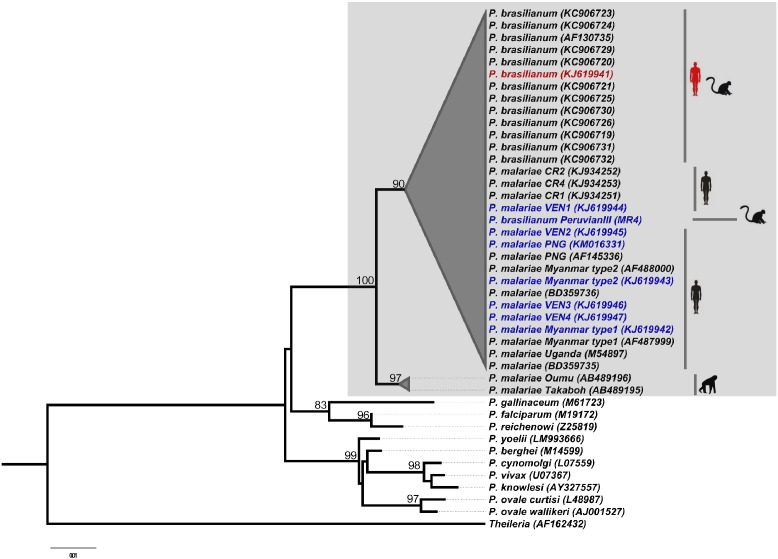 Fig. 1