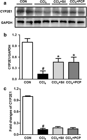 Fig. 5