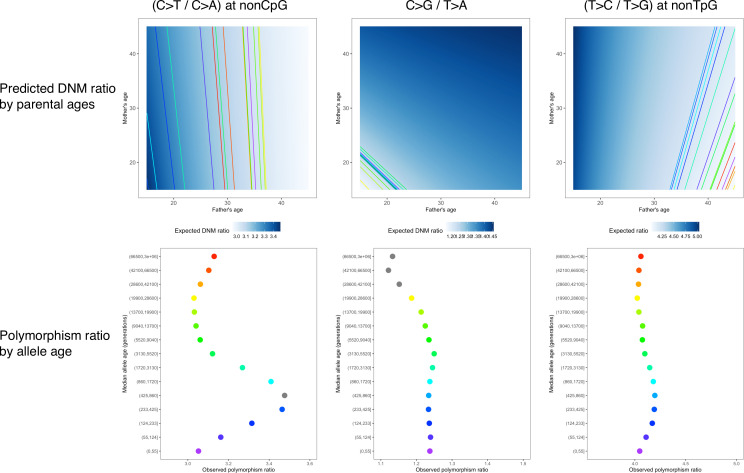 Figure 3—figure supplement 3.