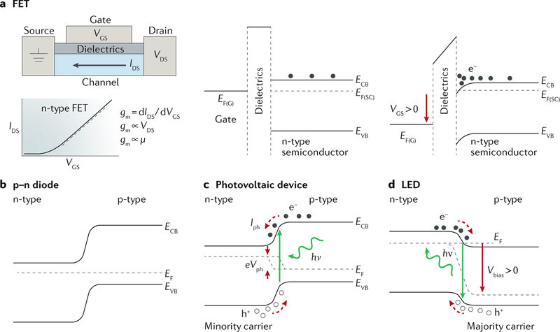 Fig. 3 |