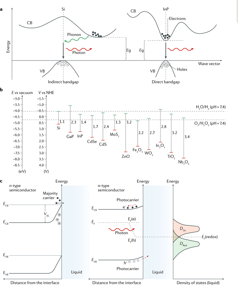 Fig. 2 |