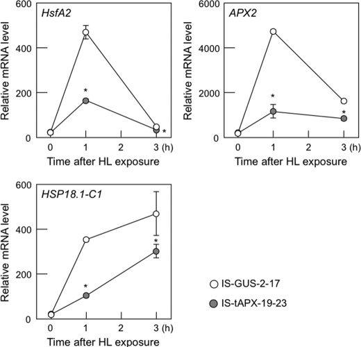 FIGURE 10.