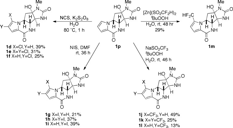 Scheme 2