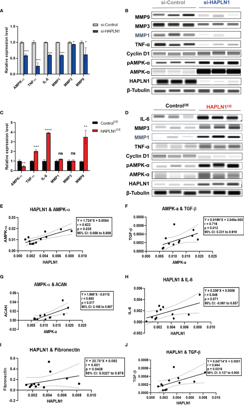 Figure 6